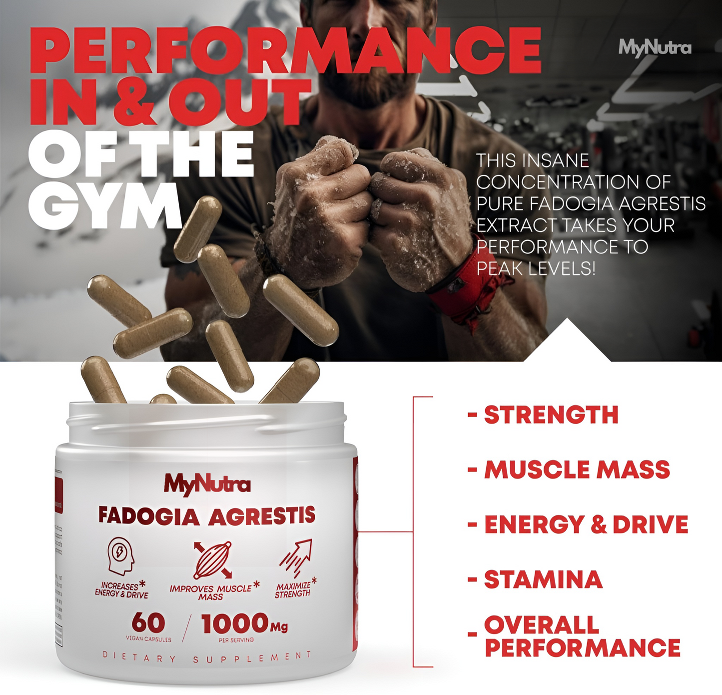 MyNutra® - Fadogia Agrestis